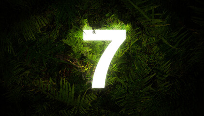 Jungle number 7 seven
