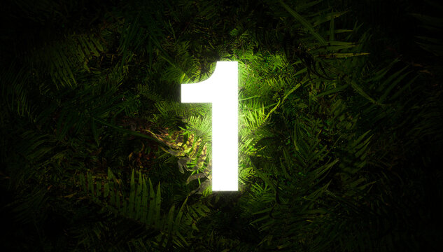 Jungle number 1 one