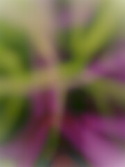 abstract degrade green and purple gradient background graphic illustration 