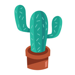 green cactu in pot