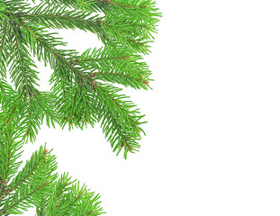 Christmas green framework isolated on a white background. Green pine tree branches.