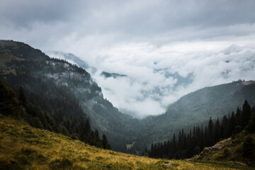 Fog in the mountains
