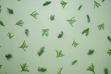 Christmas composition. Fir tree branches, thuja, juniper, cypress spruce on green background. Christmas, winter, new year concept. Flat lay, top view