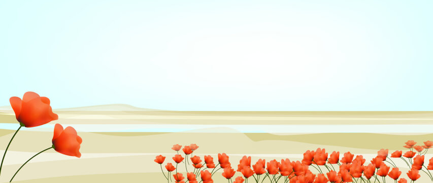 The Red South Festival banner. Anemone flowers in Negev desert. Israel desert is blossoming. Flowers in Israel desert. Israel Nature banner. 