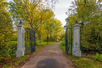 Driveway of an estate between an open black iron gate with stone pillars. The photo was taken on a...