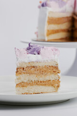 Children's colored cake in the form of a cat's muzzle