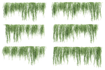 Fototapeta premium 3D illustration of a set of creeper plants, hanging from the top
