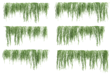 Deurstickers 3D illustration of a set of creeper plants, hanging from the top © ANDRIBENKY