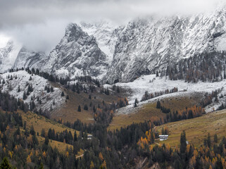 Mountain landscape with autumn colors, pine trees and rocky peaks covered in snow