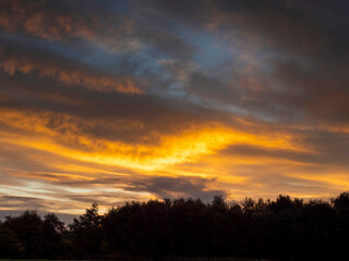 Fototapeta na wymiar Rich sunset sky over trees silhouette. Beautiful nature scene. Nobody.