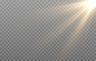Vector light on isolated transparent background. Sun, rays of light png. Magic glow, golden light png.