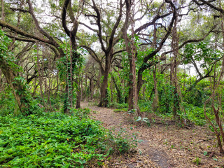 Trails filled with serenity found in nature
