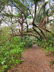 Fototapeta premium Trails filled with serenity found in nature