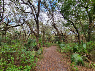 Trails filled with serenity found in nature