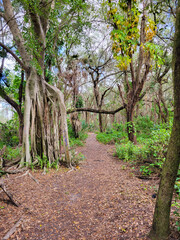Trails filled with serenity found in nature