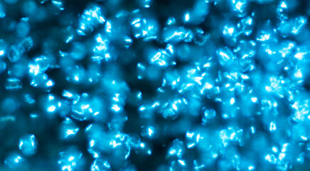 blue bokeh background created by neon lights