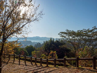 晩秋の公園