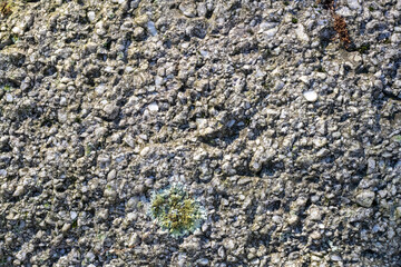 Closeup of rock with green moss on it