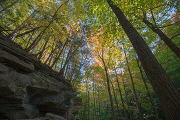 Smokey Hollow Nature preserve in Hamilton, Ontario