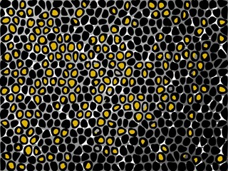 beautiful color of abstract background