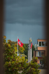 Fototapeta na wymiar Lithuanian flag