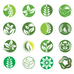 Green leaf illustration nature logo design