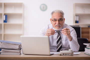 Old male boss employee working in the office