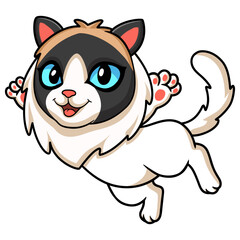 Cute rag doll cat cartoon