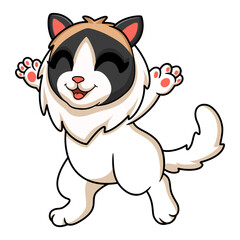 Cute rag doll cat cartoon