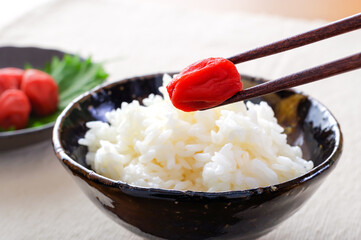 茶碗に盛ったご飯と梅干し