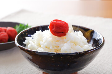 茶碗に盛ったご飯と梅干し