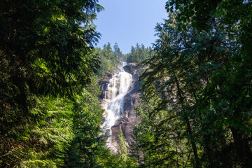 Shannon Falls