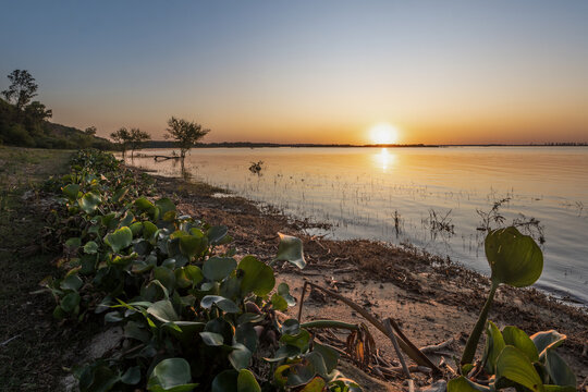 atardecer sobre el r&iacute;o, gran cantidad de camalotes en la orilla