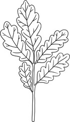 simplicity floral freehand drawing