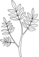 simplicity floral freehand drawing