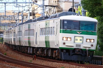 Fototapeta premium 特急電車 185系団体列車
