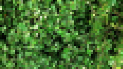 Ornamental shrubs, wall shrubs grass plants, with green leaf texture.