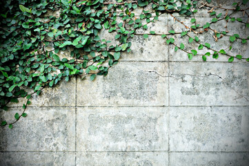 dark wall with the Velcro