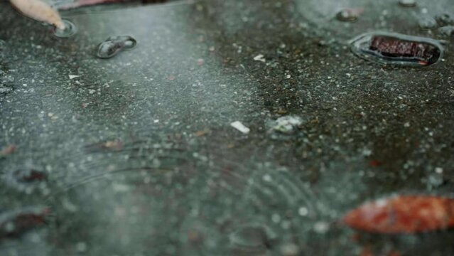 梅雨、砂利の地面の水たまりに雨の水滴が落ちて波紋を残す