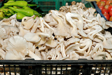 Mushroom, food street market in Bangkok, Thailand