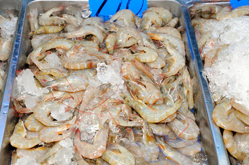 Fresh shrimp, food street market in Bangkok, Thailand