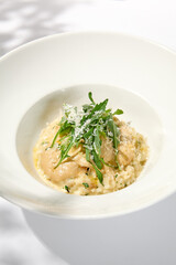 Italian cheese risotto on white plate. Creamy risotto topped parmesan cheese and espuma. Italian risotto with cheese on light background with shadows of leaves Simple italian menu