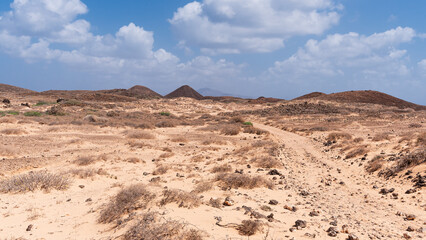 Desert island with dry bushes and volcanic rocks and hills