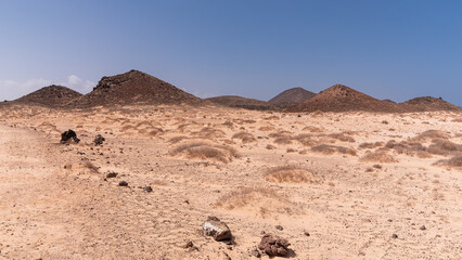 Dry desert with some plants and volcanic elevations, Lobos Island, Spain