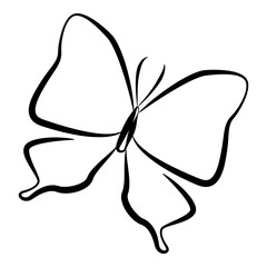 Hand drawn butterfly illustration