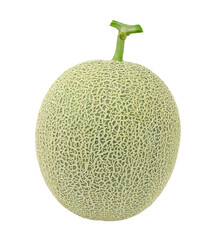 melon isolated on transparent png