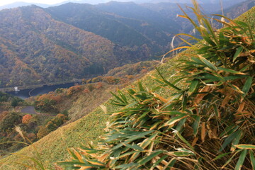 Fototapeta na wymiar 鳥取県琴浦町の秋の船上山の紅葉