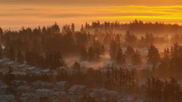 Aerial view of a neighborhood and nearby forest surrounded by fog in the early morning light.