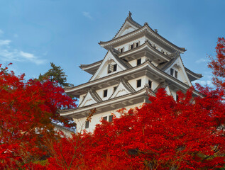 Gujohachiman castle with red autumn leaves that appears to be on fire in Gifu,Japan