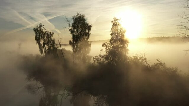 filming fog flying through the trees on riverbank with reflection in water and sunrise in background in foggy landscape